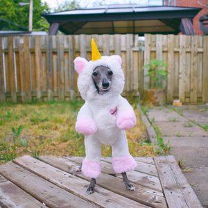 Pandaloon Walking Unicorn Dog Costume